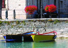 istock_000000733426small.jpg