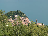tremosine