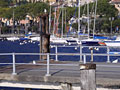 Toscolano Maderno: il porticciolo