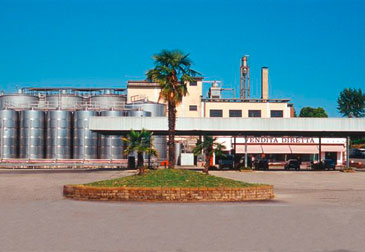 Cantina Castelnuovo