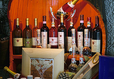 Cantina Costadoro