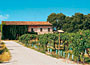 Cantina Castelnuovo