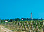 Cantina Castelnuovo