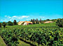 Cantina Castelnuovo