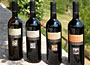 Cantina Castelnuovo