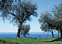 Gardacqua