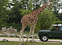 Parco Natura Viva