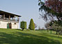 Picoverde