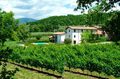 Agritur. Ca' Castellani - Bardolino
