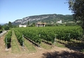 Azienda Agricola Ca' Bottura