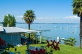 Camping Le Palme 3* - Lazise