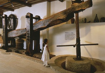 Museo dell'olio d'oliva