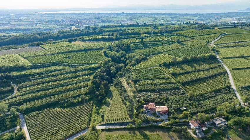 Colle d�Oro sul Lago