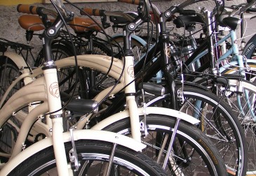 Cicli Degani