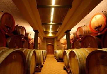 Cantina Vantini