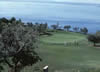 GOLF CA' degli ULIVI