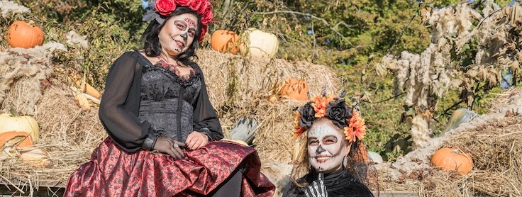 Halloween al Parco Giardino Sigurtà