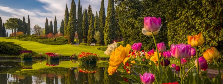 Tulipanomania 2026 al Parco Giardino Sigurtà